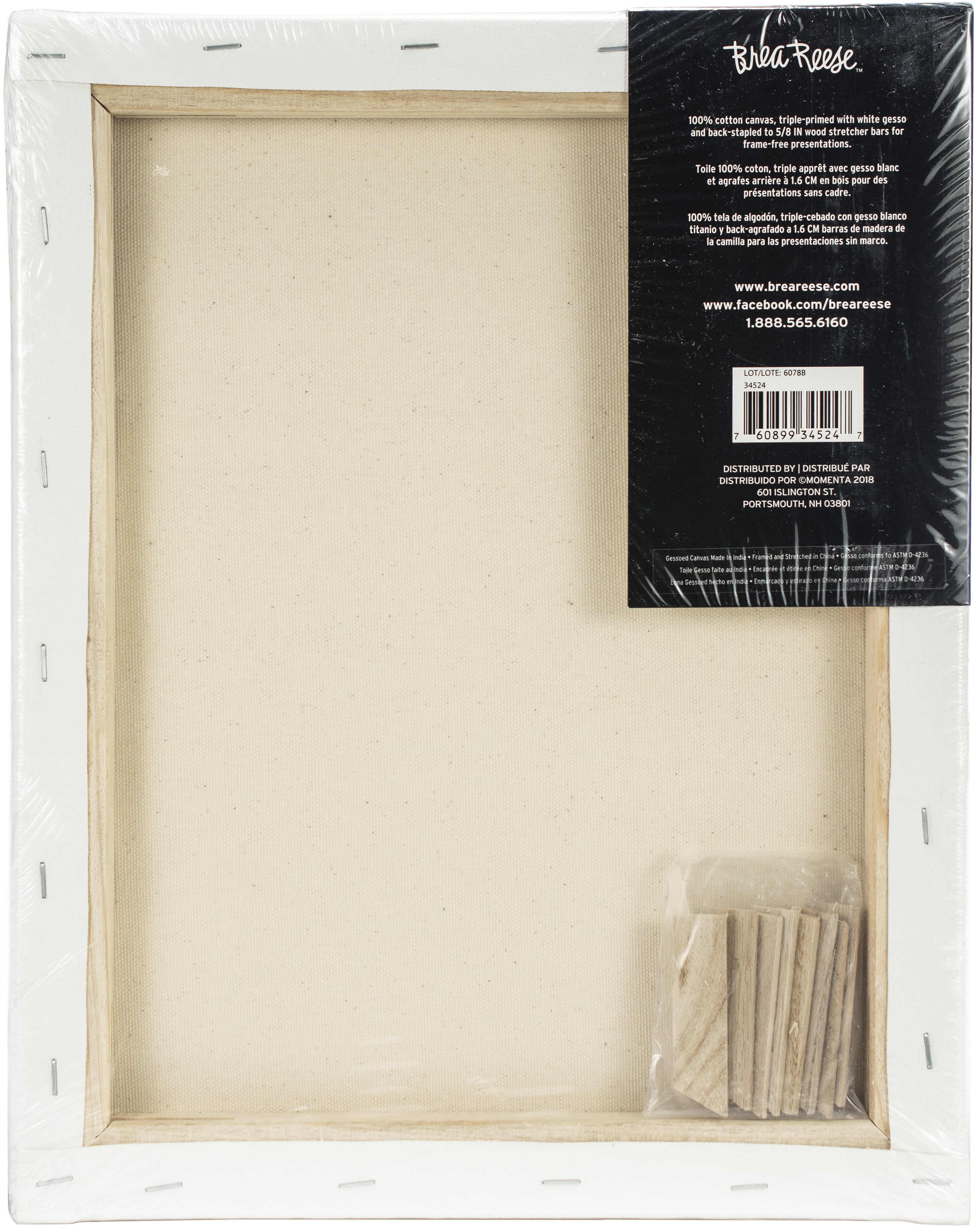 Momenta Inc Brea Reese Professional Series: 11x14 Canvas, 2pc