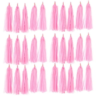 Little Princess Fringe Tissue Tassel Garland Kit or Fully Assembled – Wants  and Wishes