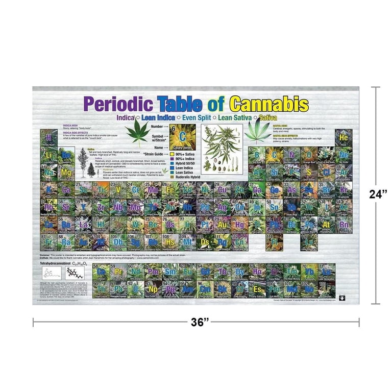 FRAMED Periodic Table of Marijuana Strains 36x24 Graphic Art Print