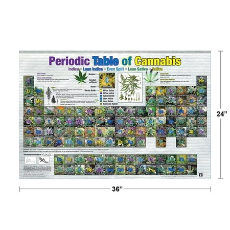 Poster - Periodic Table Of Cannabis Poster 36x24" N241349 - Walmart.com ...