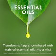 thumbnail image 3 of Air Wick Essential Mist Fragrance Oil Diffuser Refill, Lavender, Air Freshener, 3 of 5