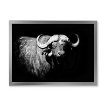 Designart 'Black and White Portrait Of Buffalo I' Farmhouse Framed Art Print