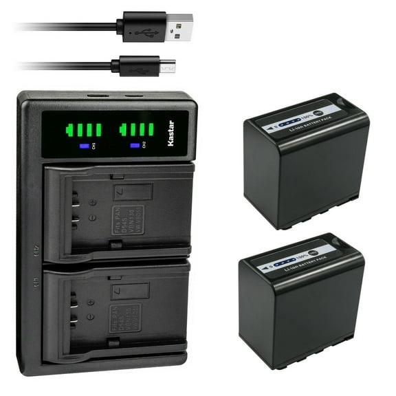 Kastar 2-Pack AG-VBR89G Battery and LTD2 USB Charger Compatible with Panasonic HC-X2 4K Camcorder, Panasonic HC-X20 4K Mobile Camcorder