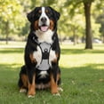 thumbnail image 5 of Nallwabiu No Pull Dog Harness Adjustable Vest with a Training Handle, Pocket, Easy to Put on & Take Off, With dog leash, 5 of 6