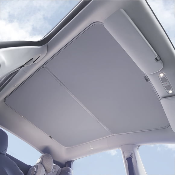 Sombrillas de techo VION Tesla Model Y Precision Fit 2020-2024