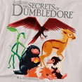 thumbnail image 3 of Fantastic Beasts The Secrets Of Dumbledore Fantastic Beasts Pile Kids T Shirt (X-Large) for Youth Toddler Boys and Girls, Silver, 3 of 5