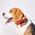 thumbnail image 3 of Collar de posicionamiento para mascotas, collar para perros AirTag, collar de seguimiento para perros, correa de nailon antipérdida para mascotas, correa para perros, 3 of 5