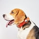 thumbnail image 5 of Collar de posicionamiento para mascotas, collar para perros AirTag, collar de seguimiento para perros, correa de nailon antipérdida para mascotas, correa para perros, 5 of 5