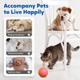 thumbnail image 7 of Pet Ball Toy, Automatic Rolling Ball for Cats, Small Dogs, Interactive Dog Balls, Puppy Play Gym Toys, Automatic Moving Dog Toy USB Rechargeable, Pet Supplies(2PC), 7 of 7