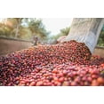 thumbnail image 4 of 2 Bag 9oz Kantu 7000 Medium Roasted Coffee Beans Grown @ High Altitude ECUADOR ❤, 4 of 6