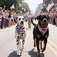 thumbnail image 5 of 2PCS Dual-Layer Design Patriotic Dog Bandanas Outfit,Large Summer Triangle Reversible Memorial Day Independence Day American Flag 4th of July Scarf for Big Boy and Girl Dogs Red White Blue, 5 of 7