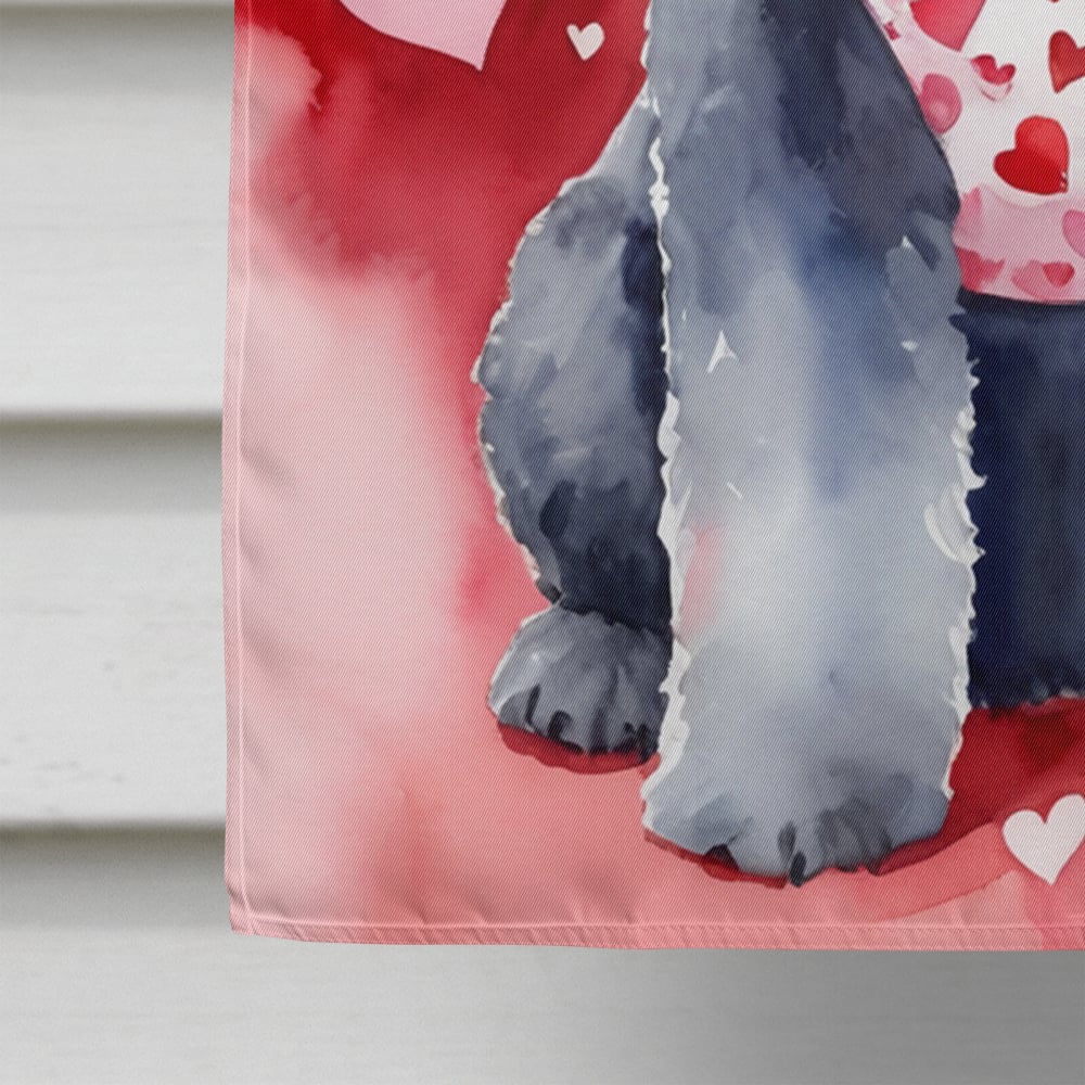 Kerry Blue Terrier My Valentine House Flag 28 in x 40 in