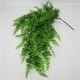thumbnail image 5 of Billuyoard Simulación de hierba de helecho, planta verde, helecho Artificial, hojas persas, flores, plantas colgantes de pared, decoración de tienda de Decoración del hogar Billuyoard HA017865-00, 5 of 5