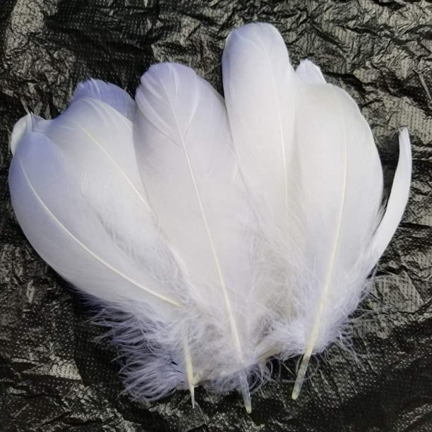 Plumes Blanc, Blanc Plume Décoration, Idéal pour Costumes, Chapeaux,  Décoration d'intérieur Fete Mariage Anniversaire, Multicolore (100 Plume  Blanche),YAO 