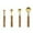 Gold2, variant on 4-Piece Stainless Steel Measuring Cups Set with Wood Handle and Scale, Metal Kitchen Measuring Tools for Dry and Liquid Ingredients, Rust Resistant Baking Cups for Cooking Prep, 7.5 x 3.1 Inches