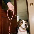 thumbnail image 3 of Fournitures pour Animaux - Sangle de Traction en nylon pour Aventures en Plein Air Sangle de Traction Réglable pour Randonnée et Camping Matériau en nylon Durable pour Chiens, 3 of 4