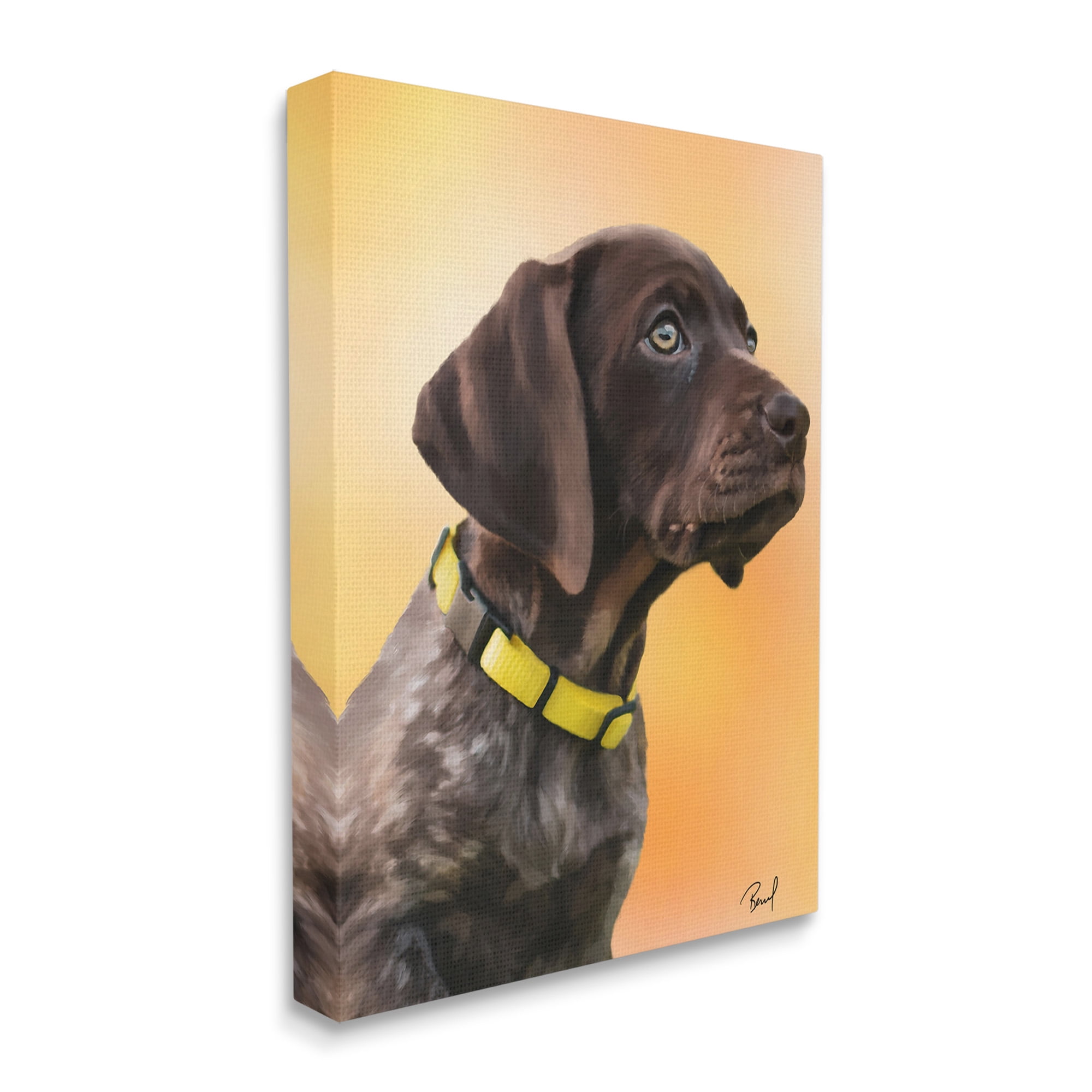 Stupell Industries Lab Puppy on Orange Animals & Insects Painting Gallery Wrapped Canvas Art Print Wall Art, 36 x 48