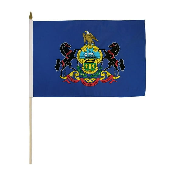 Pennsylvania 12x18in Stick Flag