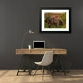 thumbnail image 4 of Frank Dicksee 24x19 Black Modern Framed Museum Art Print Titled - Study for ‘La Belle Lady Without Merciless’, 4 of 5