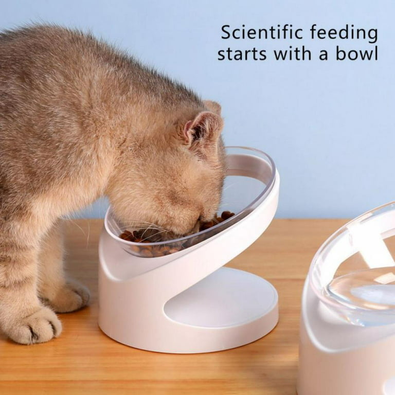 Elevated Pet Feeding Bowls For Dog & Cat, 1 Plastic Tilted Dog