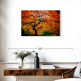 thumbnail image 3 of Elephant Stock Autumn Japanese Maple Tree Wall Art - Horizontal Canvas Wall Art - Living Room Wall Decor - Floral And Botanical Canvas - Orange And Brown Decor - 30" x 20", 3 of 8