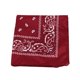 thumbnail image 1 of Greeniant Bufanda pequeña cuadrada de moda Hip hop Cool Guy mujeres hombres impresión cabeza envoltura rap estrella pañuelo cuello lazo para el pelo Accesorios para máquinas de ejercicios Vino Greeniant JJ15373-02, 1 of 6