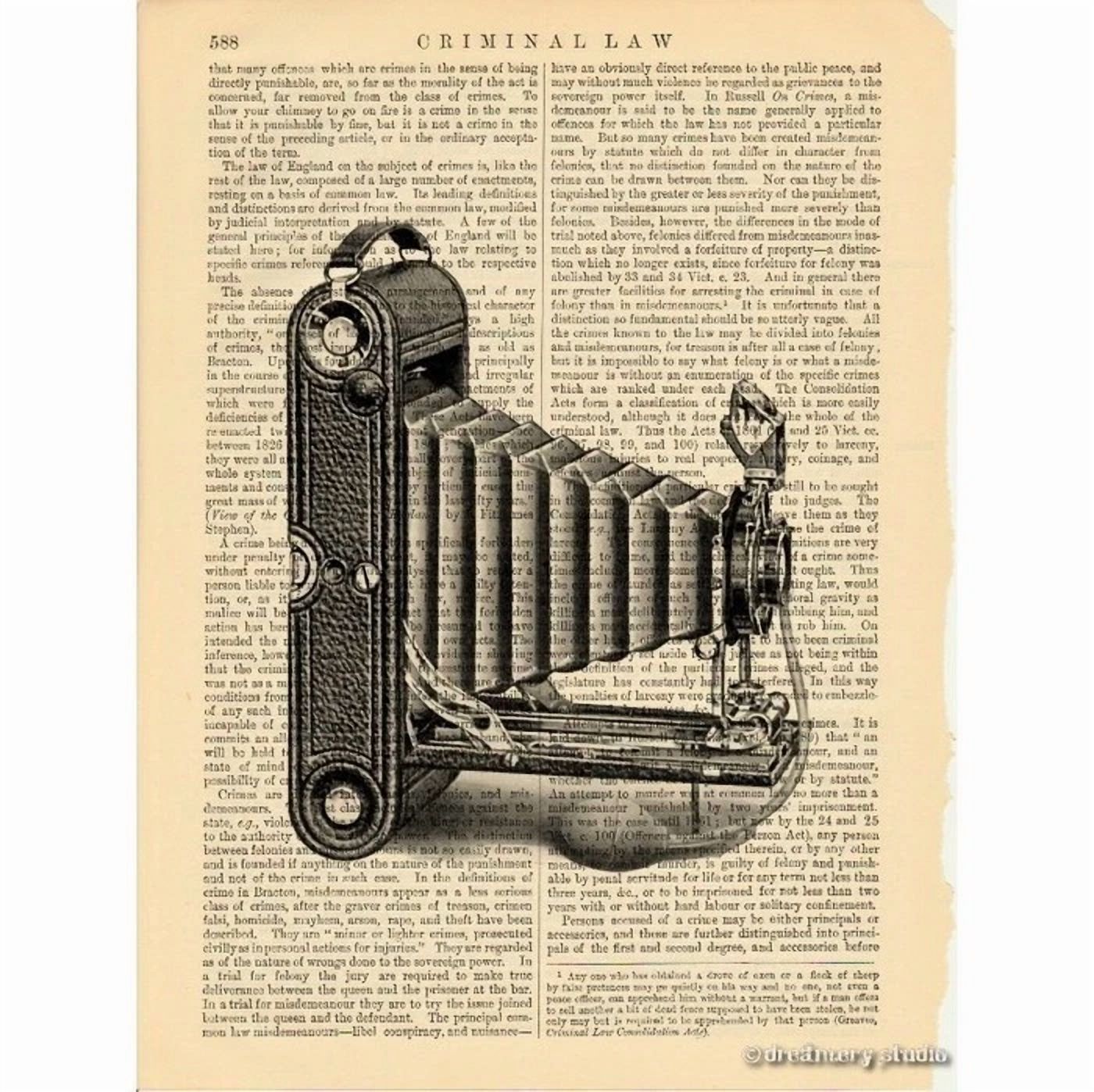 BUTTERFLY- Vest Pocket Folding Camera #3 Art Print On Vintage Book Page Office Decor Gifts