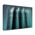 thumbnail image 2 of Canvas Wall Art - Arro 'Blades' Wall Art for Living Room, Bedroom, or Office D?cor by Trademark Fine Art - 47 x 30 Inches, 2 of 4