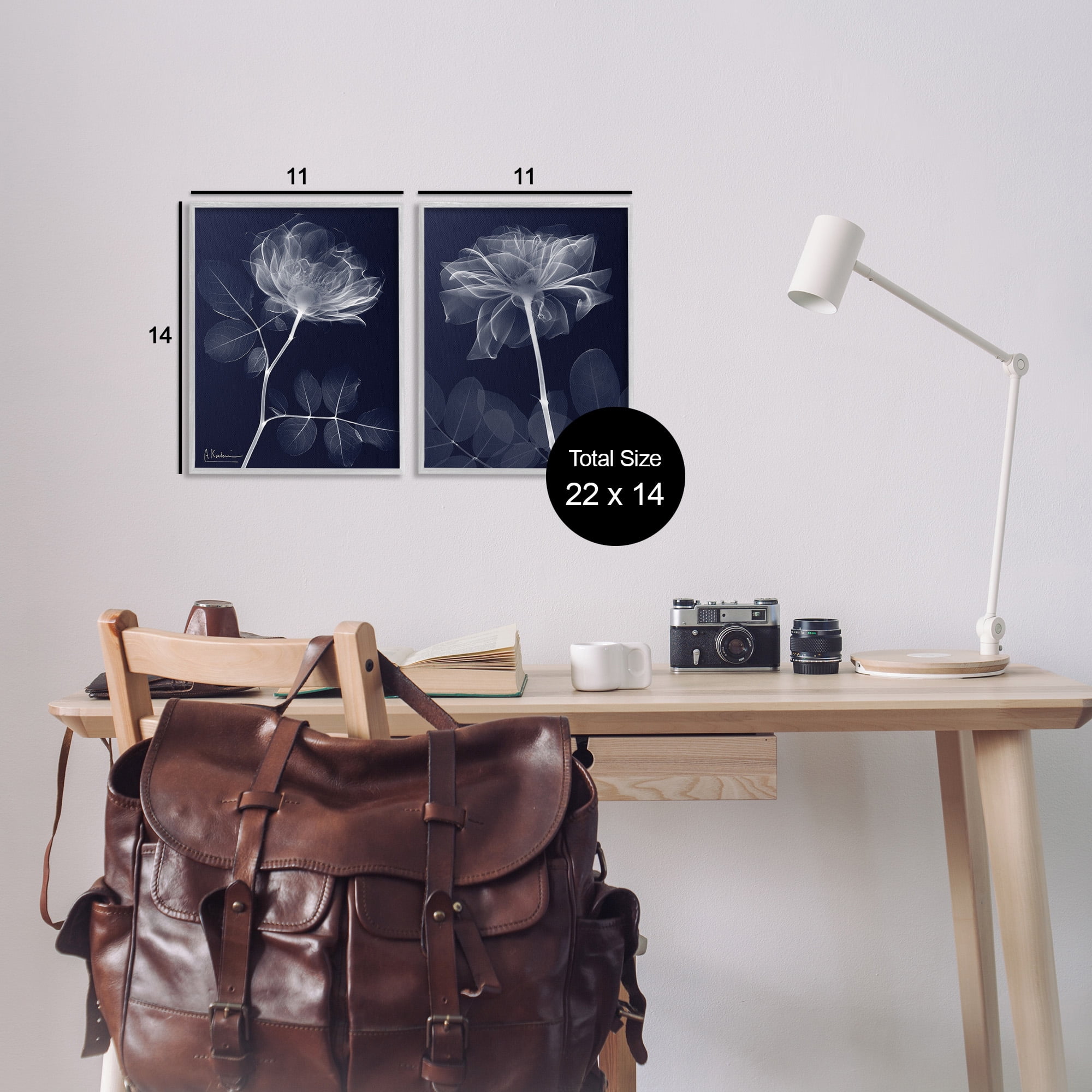Stupell Industries X-Ray Blossom on Black Botanical & Floral Photography Gray Framed Art Print Wall Art, 11 x 14, Set of 2