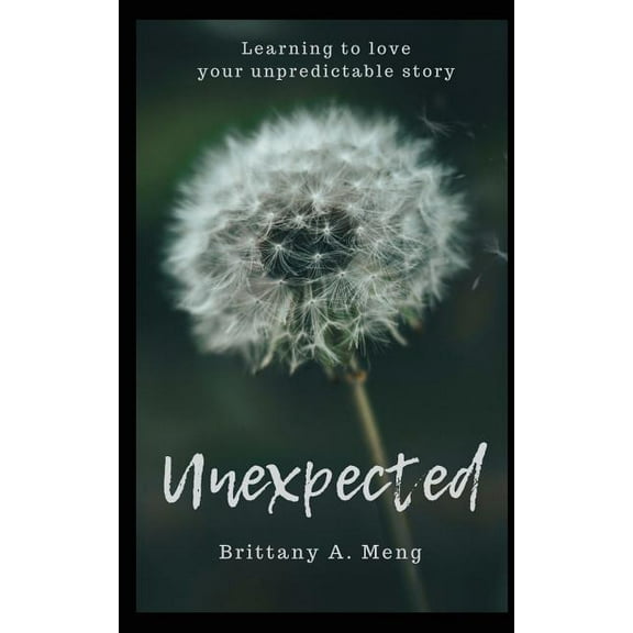 Unexpected : Learning to Love Your Unpredictable Story (Paperback)