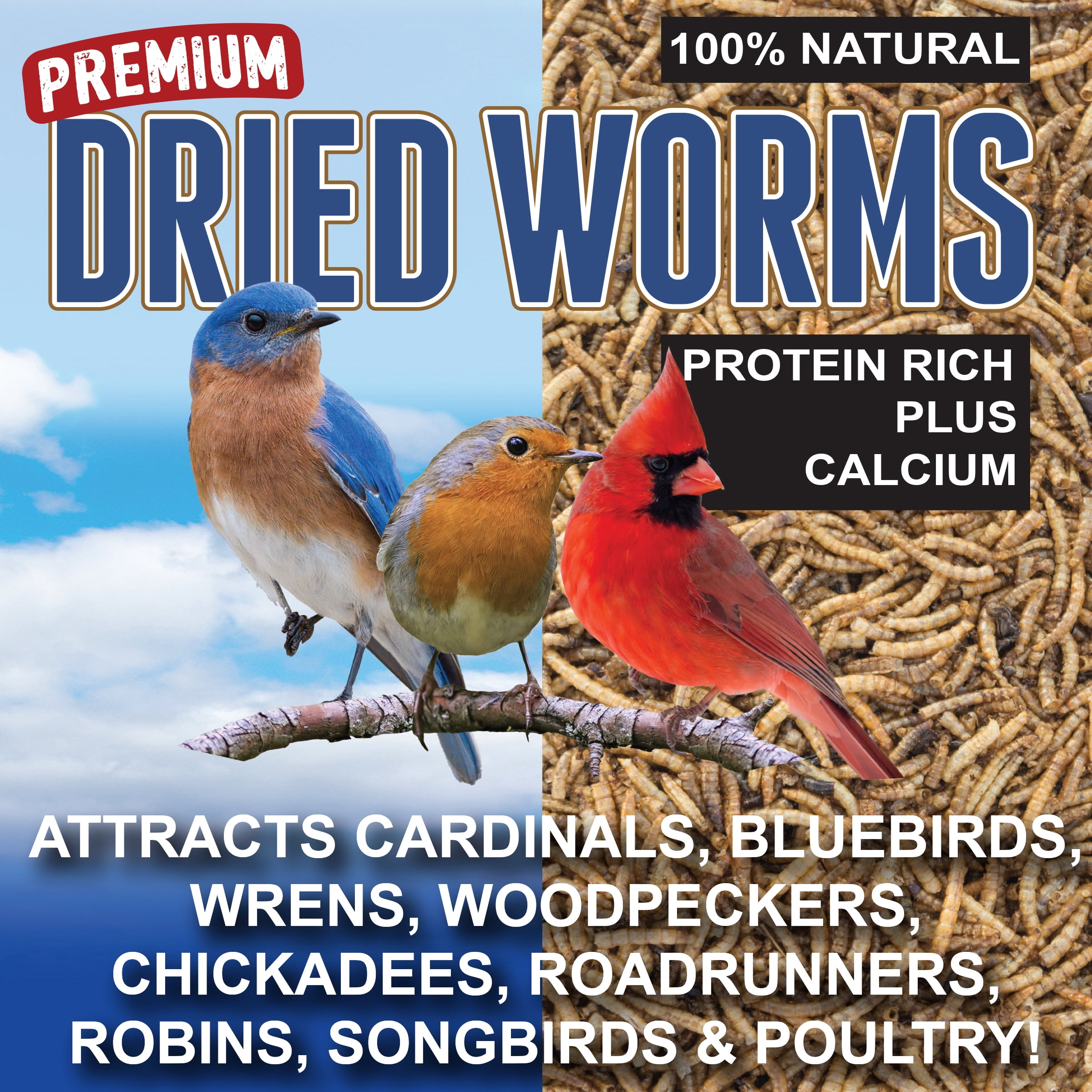 Dried Worms Treat High-Energy Snack for Wild Birds & Poultry