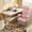 Pink, variant on CONCETTA Ergonomic Big and Tall Office Chair, Scratch-Resistant PU Leather Executive Desk Chair with Spring Lumbar Support Brown
