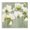 Modern White Blooms, variant on Stupell Industries Contemporary Modern White Flower Blooms Black Framed Giclee Art, 12 x 12, by Vanessa Austin