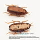 thumbnail image 3 of Insecto Automático Toy Electric Insect Mini Animal Creative para Gatos, 3 of 9