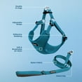 thumbnail image 3 of Best Pet Supplies Voyager Step-In Flex Adjustable Mesh Dog Harness, 3 of 9