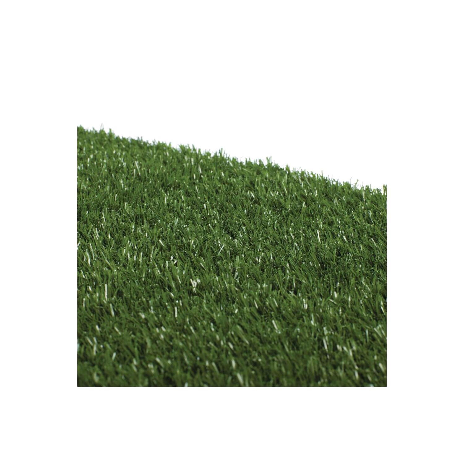 tinkle turf replacement grass