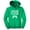 Green, variant on Tstars Boys Video Game Hoodie - I Paused My Game to Be Here - Gamer Gift Hoodie - S, Black