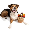 thumbnail image 2 of Juguete para perros Midlee Gnome de Acción de Gracias con bola oculta de peluche 10 cm, 2 of 7