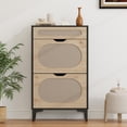 thumbnail image 2 of Ourlova Armoire à Chaussures en Rotin avec 2 Tiroirs Basculants et 1 Tiroir Support Libre Armoire de Rangement pour Chaussures avec Tablette Réglable à 3 Positions Armoire à Chaussures Étroite pour Entrée Ou Véranda, 2 of 8