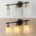 thumbnail image 6 of JONATHAN Y Egan 23.25" 3-Light Classic Cottage Vanity Light with Frosted Glass Shades and Bathroom Hardware Accessory Set, Oil Rubbed Bronze/Gold Painting (5-Piece), 6 of 10
