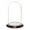 Dark Mahogany Veneer Base, variant on Plymor 4" x 7" Glass Display Dome Cloche (no Base)