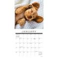 thumbnail image 3 of Naptime (Dogs) 2024 7 X 7 Mini Wall Calendar (Other), 3 of 4