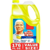(2 pack) Mr. Clean All Purpose Cleaner, Floor Cleaner, Mop Soap, Cleaning Liquid, Spiced Harvest, Pumpkin, 41oz