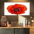 thumbnail image 1 of Red Poppy Blossom Close Up - Floral Canvas Art Print, 1 of 3