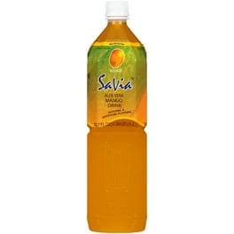 ALO Drink ALO Comfort Aloe Vera Juice Drink Watermelon Peach Flavor 12 Pack 16.9 FL OZ 500mL Bottles Walmart