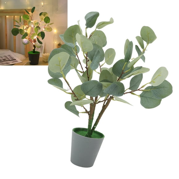 Lighted Tabletop Eucalyptus Tree, Bonsai Tree Lamp Liifelike USB Powered for Office Indoor Decoration