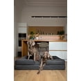 thumbnail image 4 of NOAH & PAW Giant Dog Bed XXL 55x45x11 Inch, Orthopedic Dog Beds, Eggshell Memory Foam Infused with Cooling Gel, Waterproof, Machine Washable, Includes Inner Cover (Vegan Leather), 4 of 5