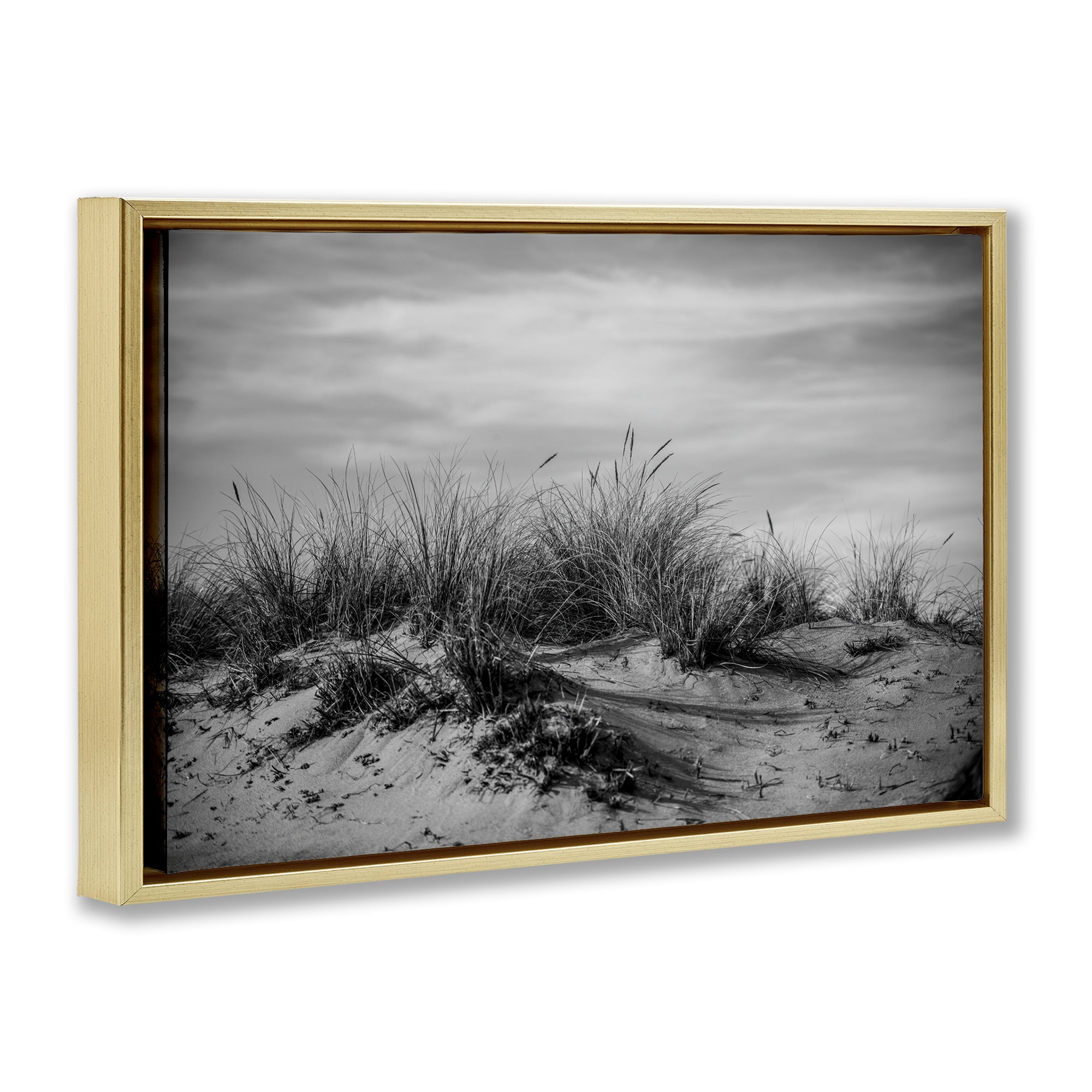 Stupell Industries Point Reyes Beach Dunes Landscape & Nature Photography Gold Floater Framed Canvas Art Print Wall Art, 25 x 17