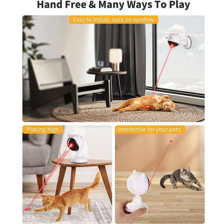 Cat laser toy pets at clearance home