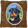 thumbnail image 1 of Carolines Treasures SS1026PW1414 Rottweiler Indoor & Outdoor Fabric Decorative Pillow, 1 of 4